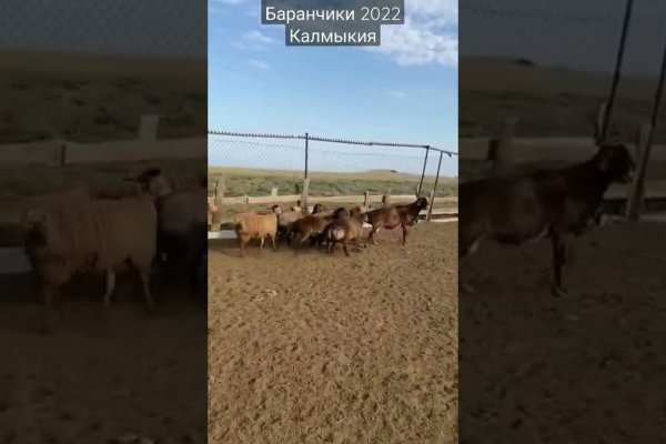 Кракен москва наркотики
