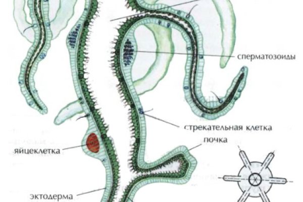 Что такое кракен магазин