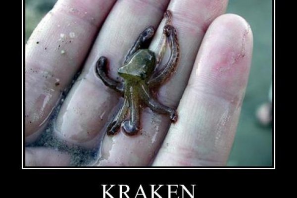 Kraken 13at